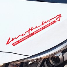 GRIBEN Kia Carnival 手寫字體貼紙 10330 45cm, 1個, 紅色