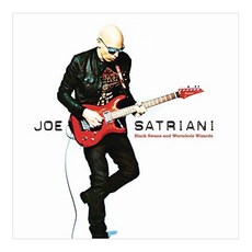 JOE SATRIANI - BLACK SWANS AND WORMHOLE WIZARDS 유럽수입반, 1CD