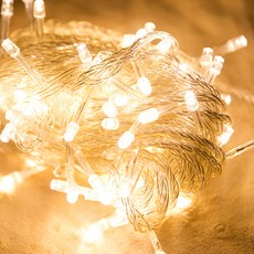 瑪西金盞花 聖誕節LED燈泡100顆 1個 + 31v電線組, 透明 + 暖色