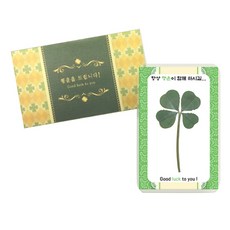 幸運禮物 四葉幸運草真花護貝卡, 祈求幸福, 4入