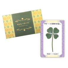 幸運禮物 四葉草真花護貝卡, 祈求大發, 4入