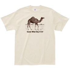 엘에이임프린츠 험프데이 티셔츠