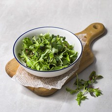 친환경 인증 국내산 어린잎 채소믹스, 200g, 1팩