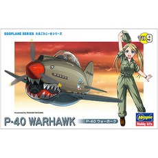 하세가와 계란비행기 TH09 P-40 WARHAWK 프라모델 HG60119, 1개