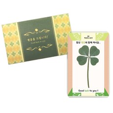 Lucky Symbol 幸運禮物卡片組 幸運四葉草鮮花護貝卡 + 信封, 祝您幸福, 4套