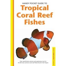 Tropical Coral Reef Fishes Paperback, Periplus Editions