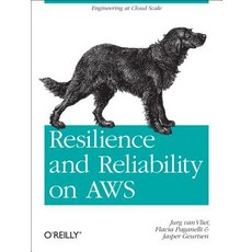 Resilience and Reliability on AWS Paperback, O'Reilly Media