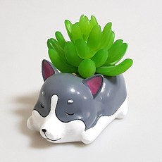 PUKO 小狗多肉植物花盆, D型, 1個
