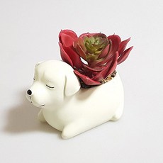 PUKO 小狗多肉植物花盆, B型, 1個