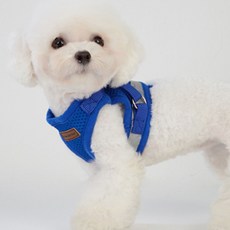 G&B Mizpet 夜間反光安全狗狗胸背帶 + 牽繩, 藍色