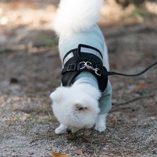 G&B Mizpet 夜間反光安全狗狗胸背帶 + 牽繩, 黑色