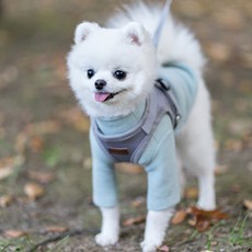 mizpet 夜間反光安全狗狗胸背帶 + 牽繩, 灰色