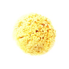 LAGRANG 沐浴海綿 XL號+掛勾夾, 1套