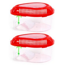 Aqua Seondu 島嶼採集箱 S Q2 隨機出貨, 2入