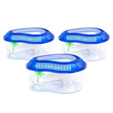 Aquasundoo 島嶼採集箱 L Q3 隨機出貨, 3個