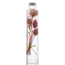 ilogu乾燥花圓瓶, 獨立粉紅色