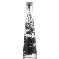 109三角瓶永生花, 黑色的