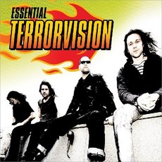 TERRORVISION - ESSENTIAL TERRORVISION 유럽수입반, 2CD