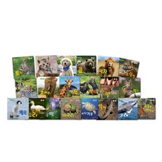 쫑알쫑알 第一套自然童話厚紙書20冊 + 海報 + 쫑알이 智慧點讀筆 16G, 然豆比