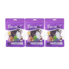동물농장 껌씹는하루 강아지간식 100g, 블루베리, 3개