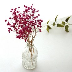 河綠霧花乾花透明花瓶套組, 亮粉色