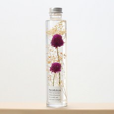 RIVER-GREEN 植物標本室乾燥保存花瓶, W01 紫色