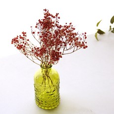 河綠霧花乾花綠花瓶套組, Natural Pink