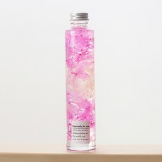 RIVER-GREEN 植物標本室乾燥保存花瓶, B04 紫色