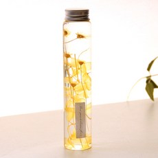 RIVER-GREEN 植物標本室乾燥保存花瓶, C01 黃色