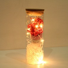 Rivergreen心情乾燥花束花瓶 Sinesins, Peach