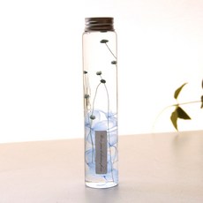 RIVER-GREEN 植物標本室乾燥保存花瓶, C02藍