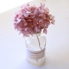 리버그린 수국 프라져브드 화병세트, 러블리퍼플