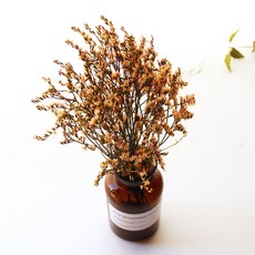 River Green Cinensis乾燥花 棕色花瓶組, 黃色的