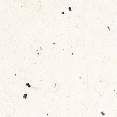 用韓紙製作的桑皮紙 636*939mm, 鴨豬A, 25件