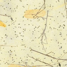 韓紙上常綠樹 636*939mm, 4, 25件