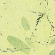 韓紙上常綠樹 636*939mm, 6, 25件