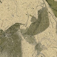 韓紙芒果韓紙 636*939mm, 05大白菜, 25件