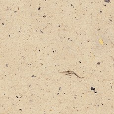 韓紙製作的紙純韓紙 636*939mm, 3, 25件