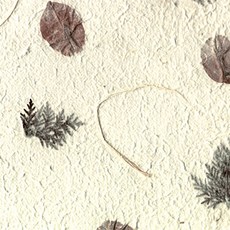 韓紙 韓紙花瓣紙 560*780mm, 4, 25件