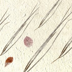 韓紙 韓紙花瓣紙 560*780mm, 7, 25件