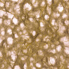 用韓紙做韓紙芭蕉紙 636*939mm, 10棕色, 25件