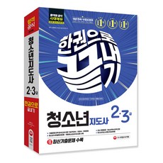 2019 청소년지도사 2 3급 한권으로 끝내기 : 기출문제 완벽분석으로 핵심이론 구성 2018 최신기출문제 수록, 시대고시기획