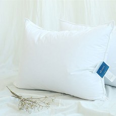 Cozy Shop豪華鵝絨枕頭, 白色的