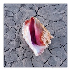 KILLERS - WONDERFUL WONDERFUL DELUXE DIGIPACK 유럽수입반, 1CD