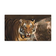 abundance 超大尺寸照片滑鼠墊 XL VOL1, MP 446034, 1個