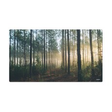 어번던스 슈퍼사이즈 포토 마우스패드 XL VOL1, MP 446033, 1개