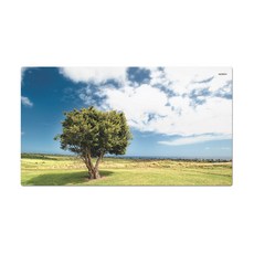 abundance 超大尺寸照片滑鼠墊 L VOL1, MP 446002, 1個