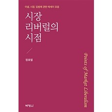시장 리버럴의 시점:이념 시장 입법에 관한 에세이 모음, 박영사, 정호열 지음
