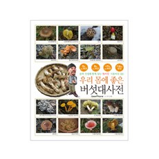 DONGHAKSA 有益健康的蘑菇大百科：與率梅老師一起尋找的320種毒蘑菇與食用蘑菇, 率梅 著