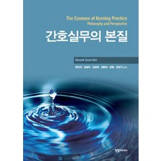 간호실무의 본질, 정담미디어, Hesook Suzie Kim 지음, 권인각 외 옮김